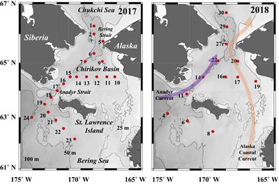 Zooplankton size composition and production just after drastic ice coverage changes in the northern Bering Sea assessed via ZooScan